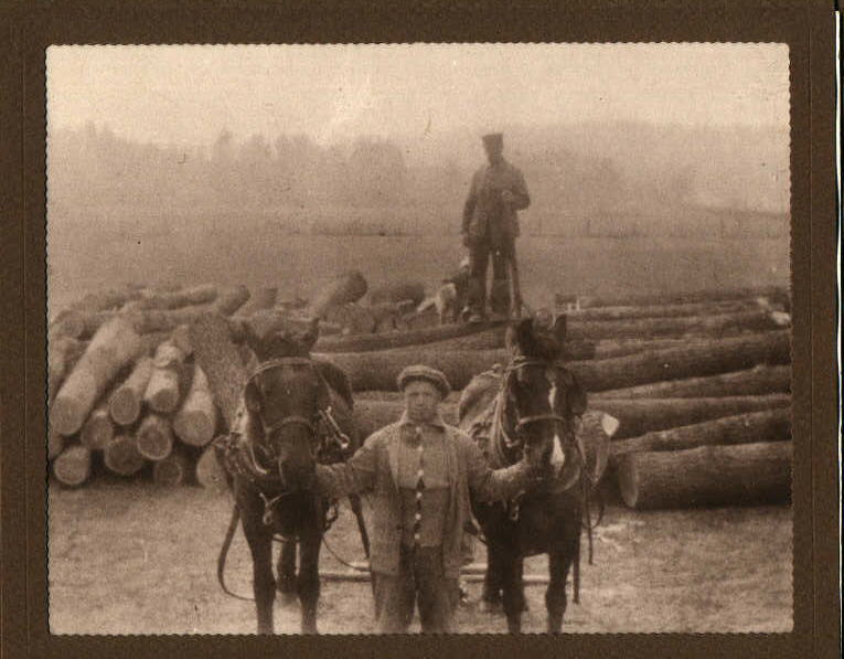 Gloria Gollers Hillestad and Cattle Family Logging in Wisconsin